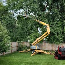  West Berlin, NJ Tree Removal and Landscaping Services Pros